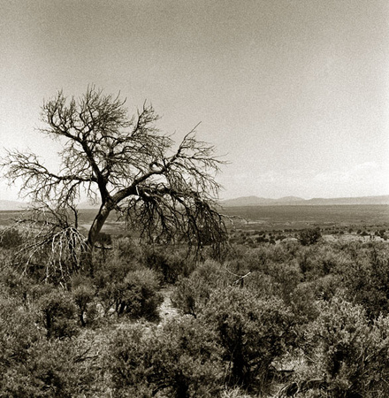 Gravesite, New Mexico
