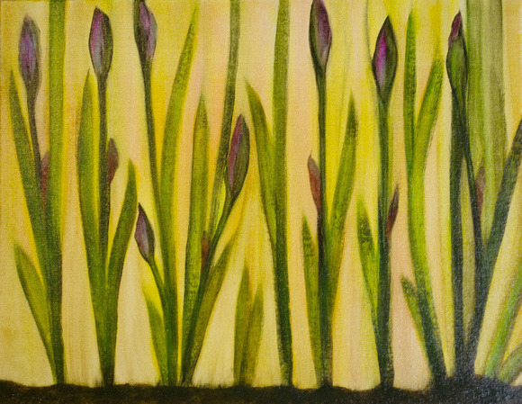 Iris Bed #3  14" x 18" $425 Acrylic Painting on Canvas Panel Framed in black wood frame overall size 16"x20" Contact me directly to purchase