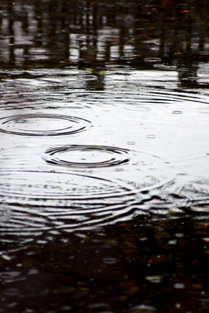 Raindrops, Pond