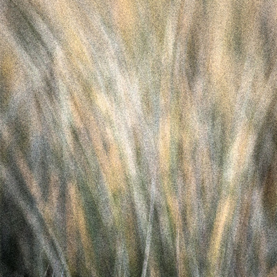 Grass, Abstract