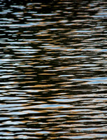 Abstract Water Vertical Three, Photograph