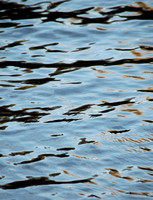Abstract Water Vertical Five, Photograph