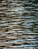 Abstract Water Vertical Four, Photograph