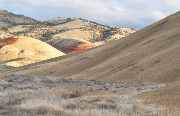 Painted Hills #1