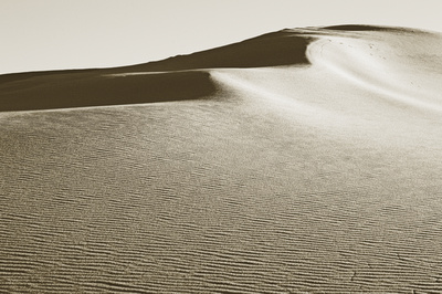 Dune Abstract #5