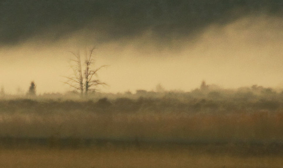 Steens, Morning Mist