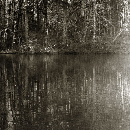 Taliesen's Pond