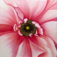 Ranunculus  18"x18" $575 Acrylic on Canvas, Framed Please DM to purchase